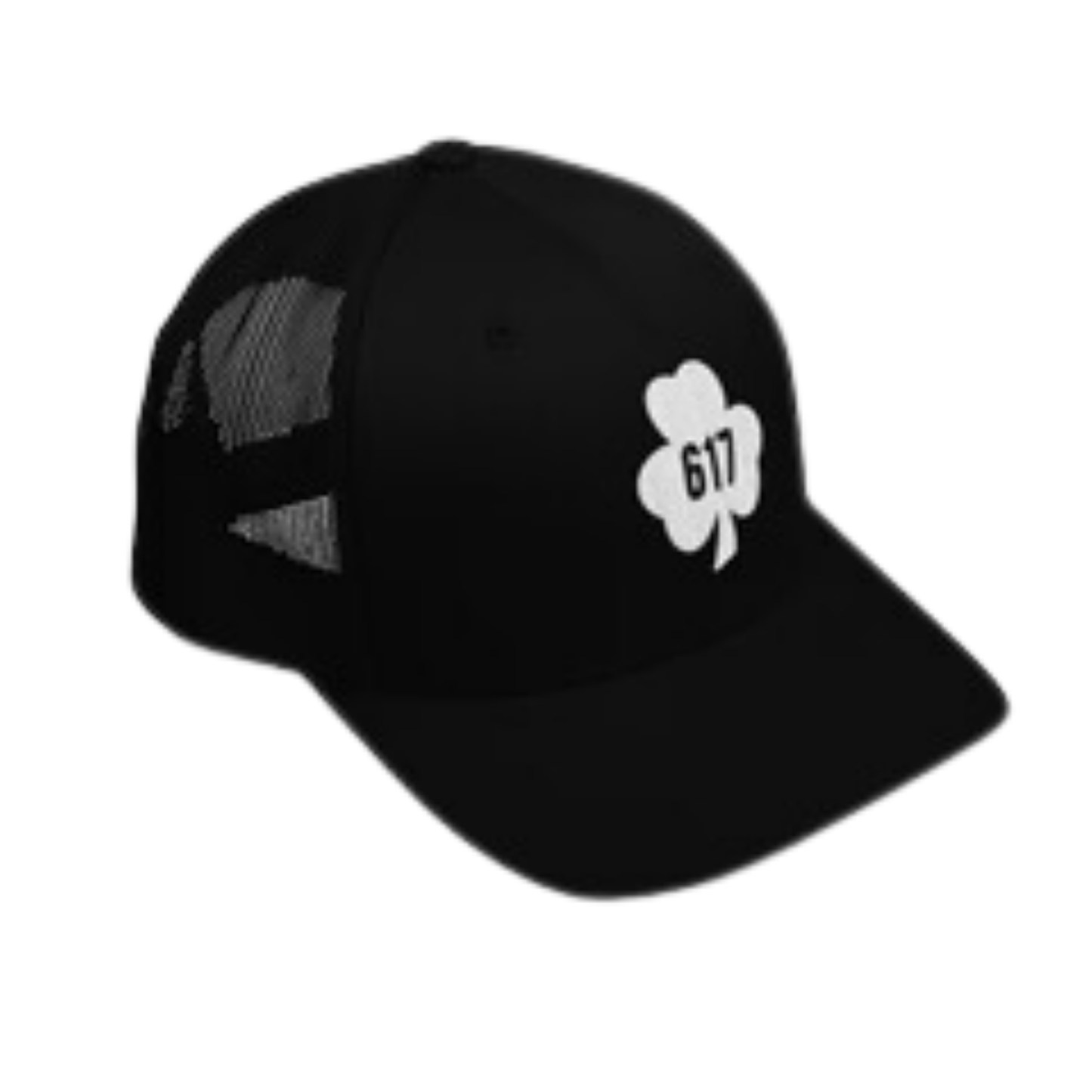 BOSTON SNAPBACK - TOWNIE